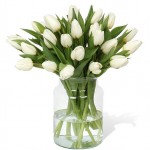 While Tulips in Vase