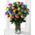 Twenty Rainbow Rose in Vase