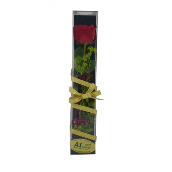 Elegant Single Rose Gift Box